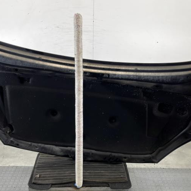 Capot OPEL INSIGNIA 1 Photo n°9