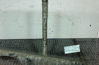 Vitre arriere gauche RENAULT LATITUDE