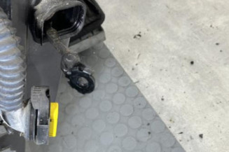 Porte avant droit RENAULT LAGUNA 3