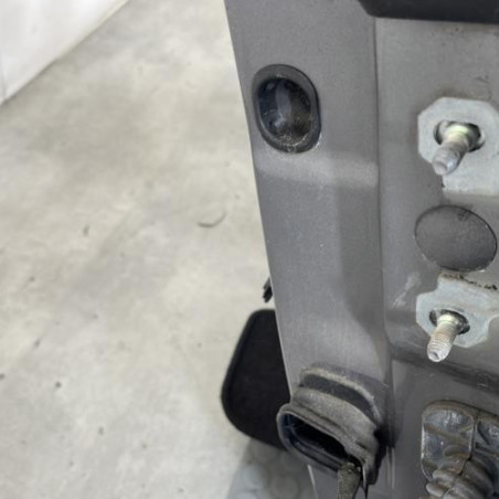 Porte avant gauche RENAULT LAGUNA 3