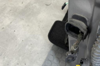 Porte avant gauche RENAULT LAGUNA 3