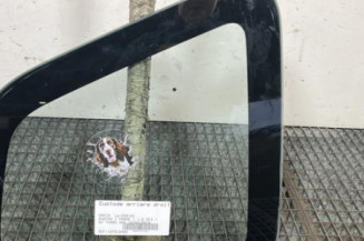 Custode arriere droit DACIA DUSTER 1 Photo n°1