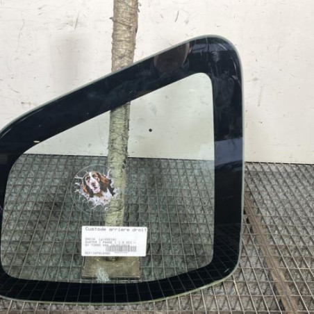 Custode arriere droit DACIA DUSTER 1 Photo n°1