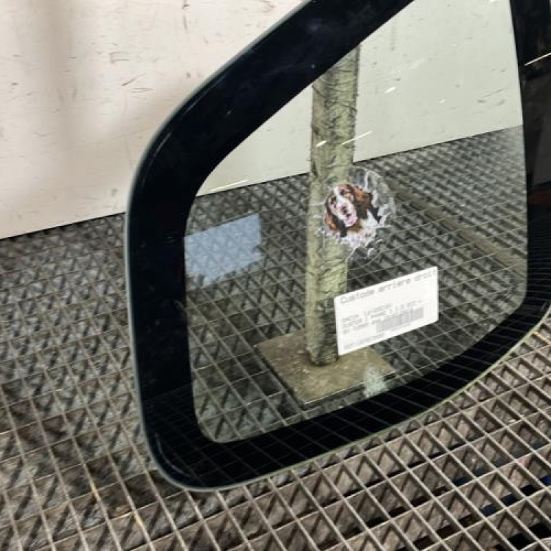 Custode arriere droit DACIA DUSTER 1 Photo n°2