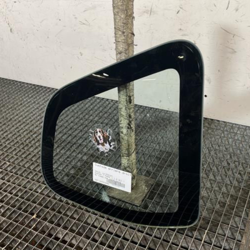 Custode arriere droit DACIA DUSTER 1 Photo n°3