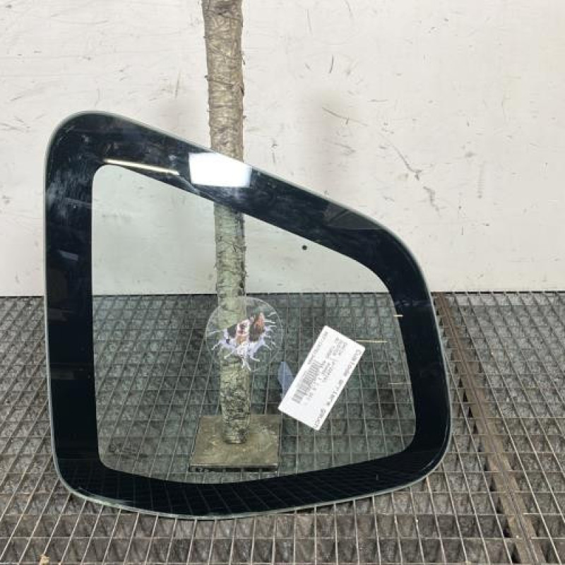 Custode arriere gauche DACIA DUSTER 1 Photo n°1