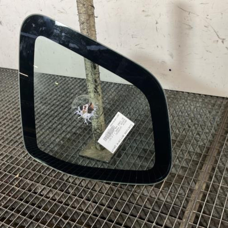 Custode arriere gauche DACIA DUSTER 1 Photo n°3