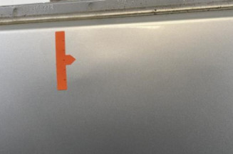 Porte arriere gauche DACIA DUSTER 1