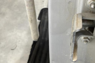 Porte arriere gauche DACIA DUSTER 1