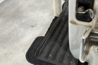 Porte arriere gauche DACIA DUSTER 1