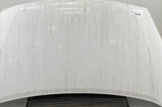 Capot PEUGEOT PARTNER 2 Photo n°1