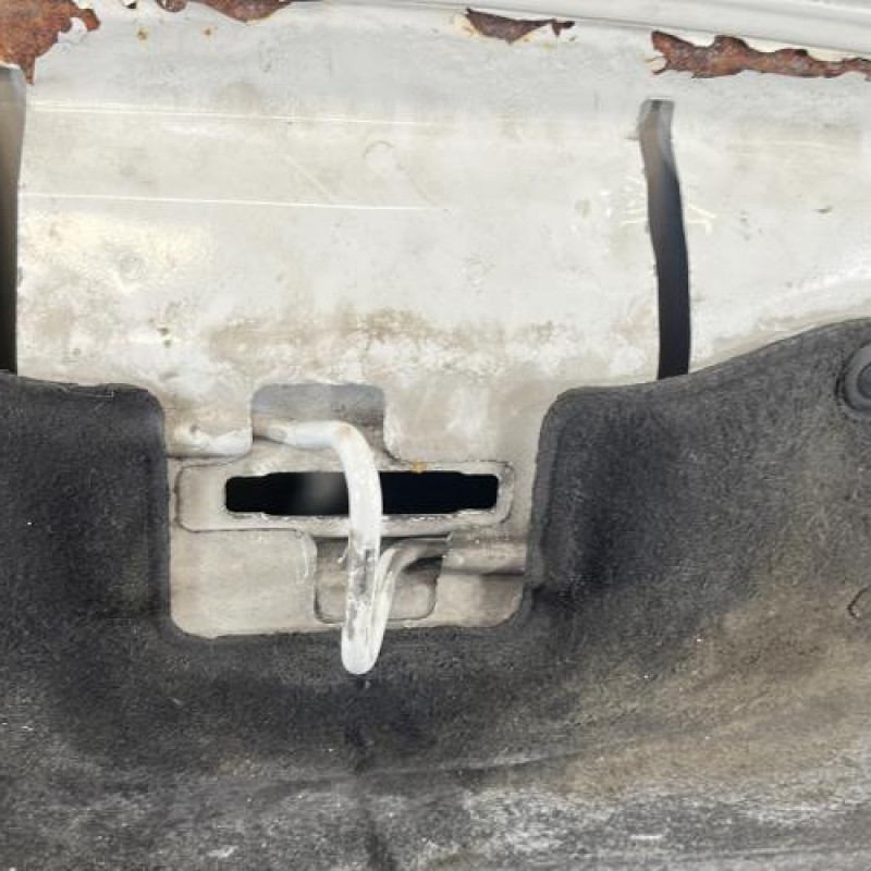 Capot PEUGEOT PARTNER 2 Photo n°6