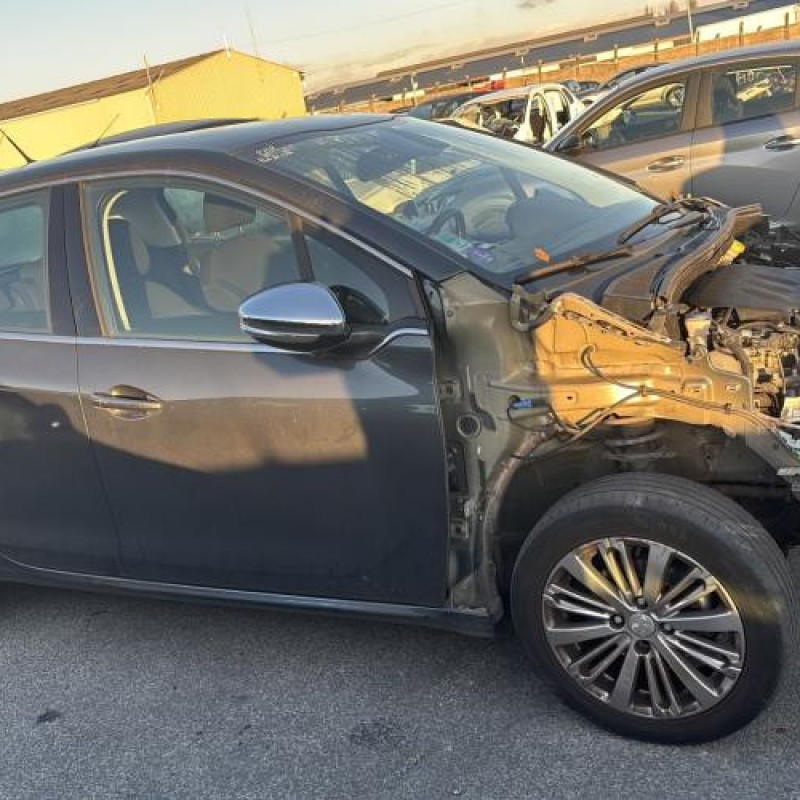 Malle/Hayon arriere PEUGEOT 208 1 Photo n°18