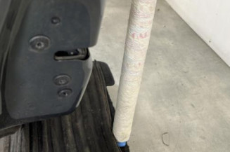 Porte arriere gauche PEUGEOT 208 1