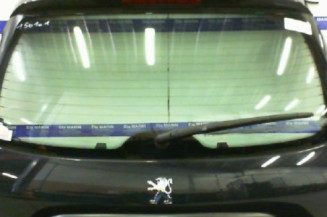 Malle/Hayon arriere PEUGEOT 206+ Photo n°1