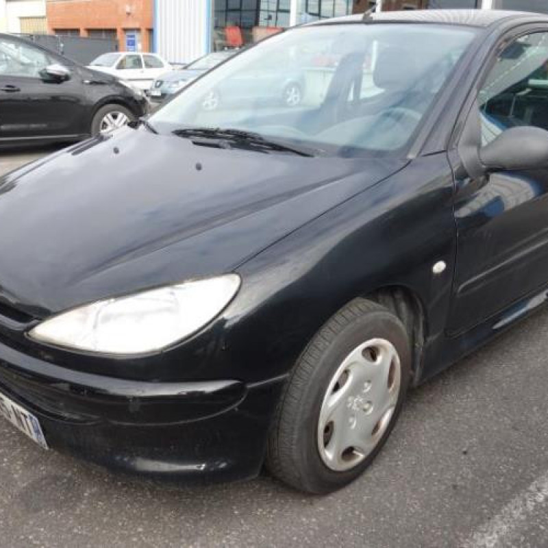 Porte avant droit PEUGEOT 206 Photo n°4