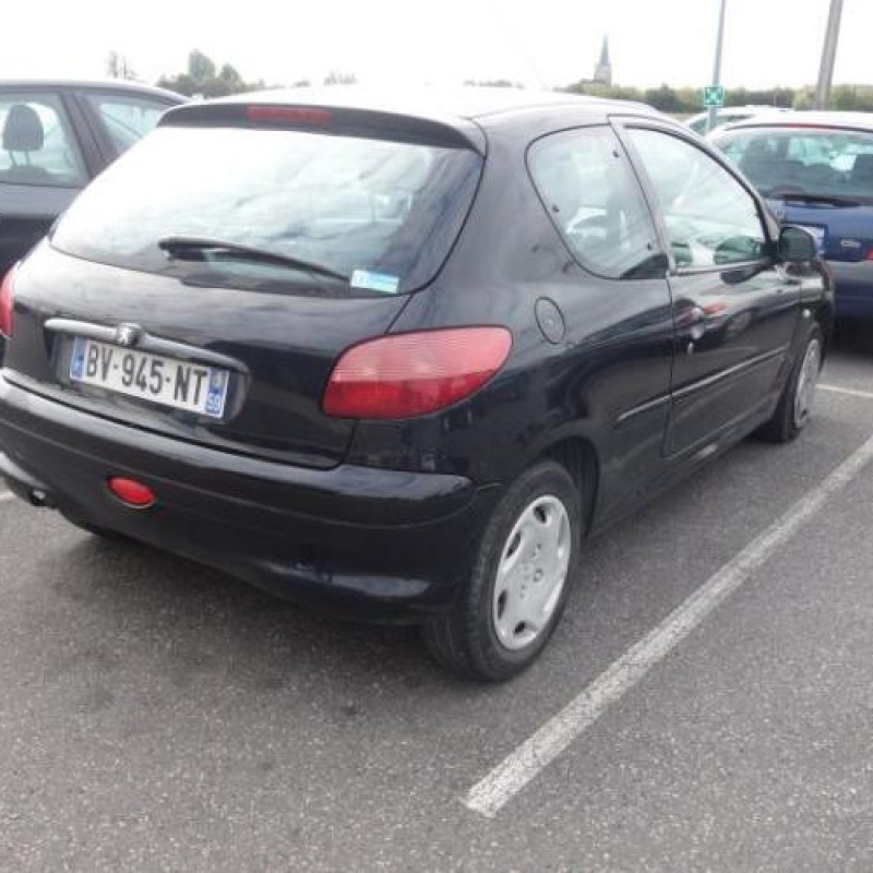 Porte avant droit PEUGEOT 206 Photo n°6