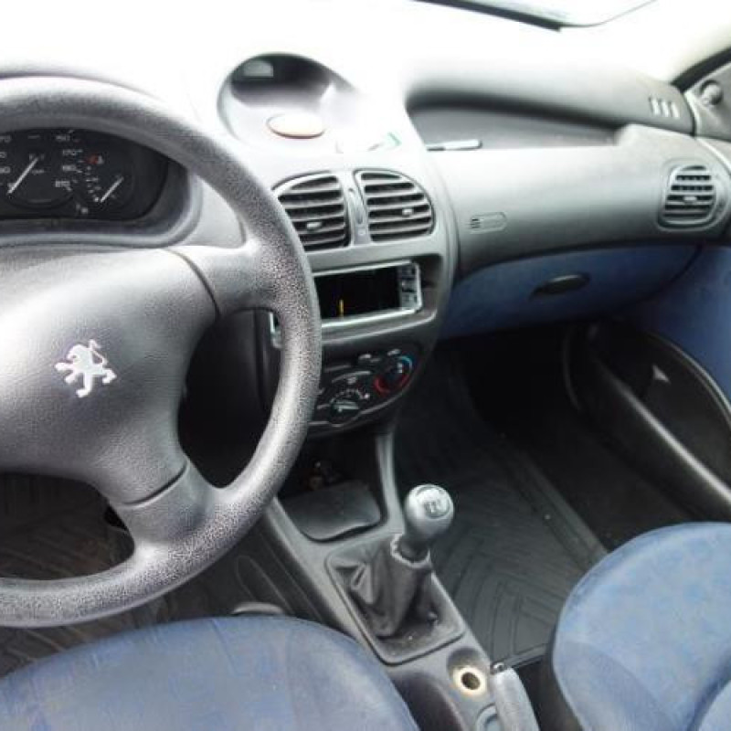 Porte avant droit PEUGEOT 206 Photo n°7