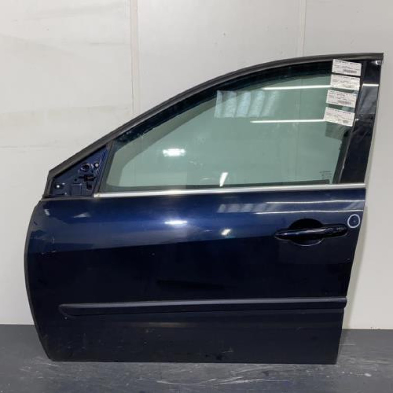 Porte avant gauche RENAULT LAGUNA 3 Photo n°1