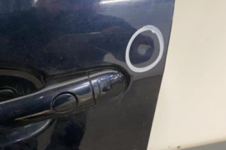 Porte avant gauche RENAULT LAGUNA 3