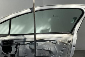 Porte avant droit PEUGEOT 207 Photo n°1