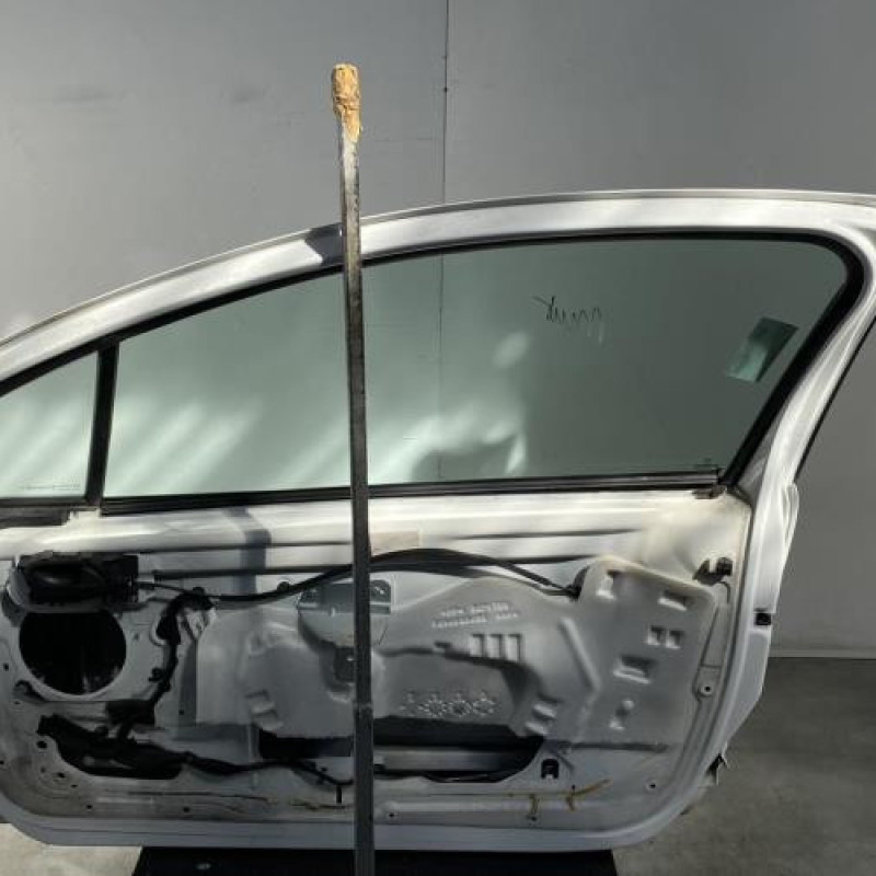 Porte avant droit PEUGEOT 207 Photo n°1
