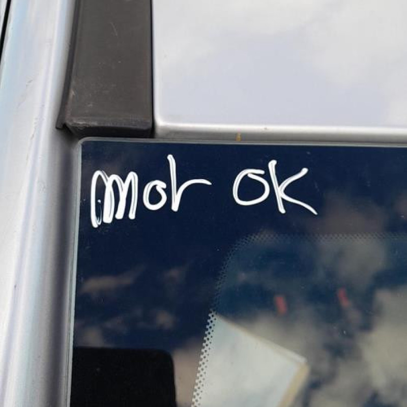 Malle/Hayon arriere CITROEN C3 2 Photo n°10