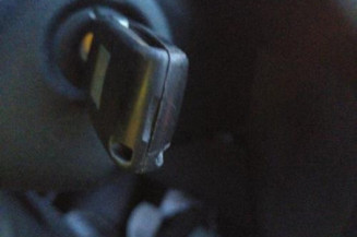 Malle/Hayon arriere CITROEN C3 2