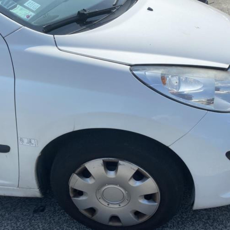 Porte avant droit PEUGEOT 207 Photo n°8