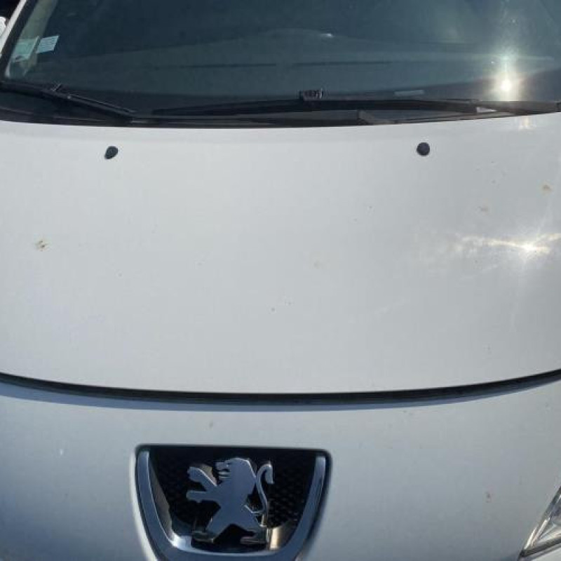 Porte avant droit PEUGEOT 207 Photo n°10