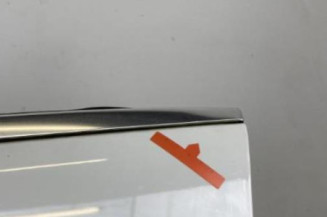 Porte avant gauche VOLKSWAGEN PASSAT 5