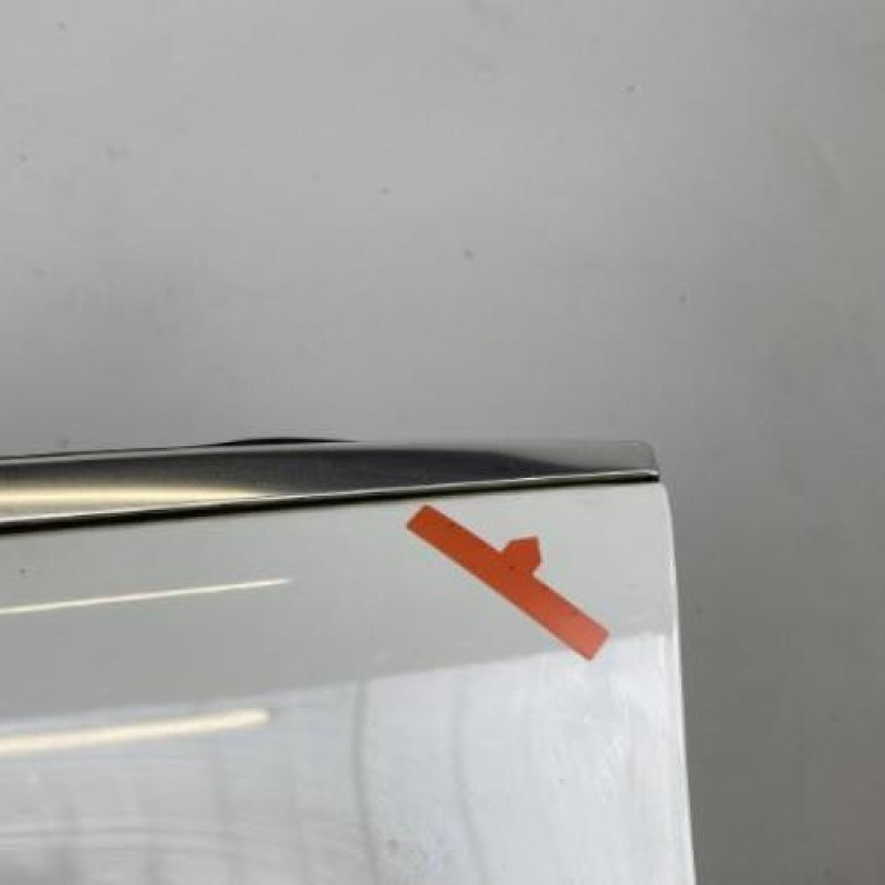 Porte avant gauche VOLKSWAGEN PASSAT 5 Photo n°4