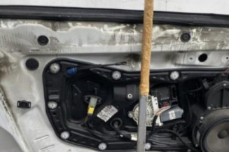 Porte avant gauche VOLKSWAGEN PASSAT 5