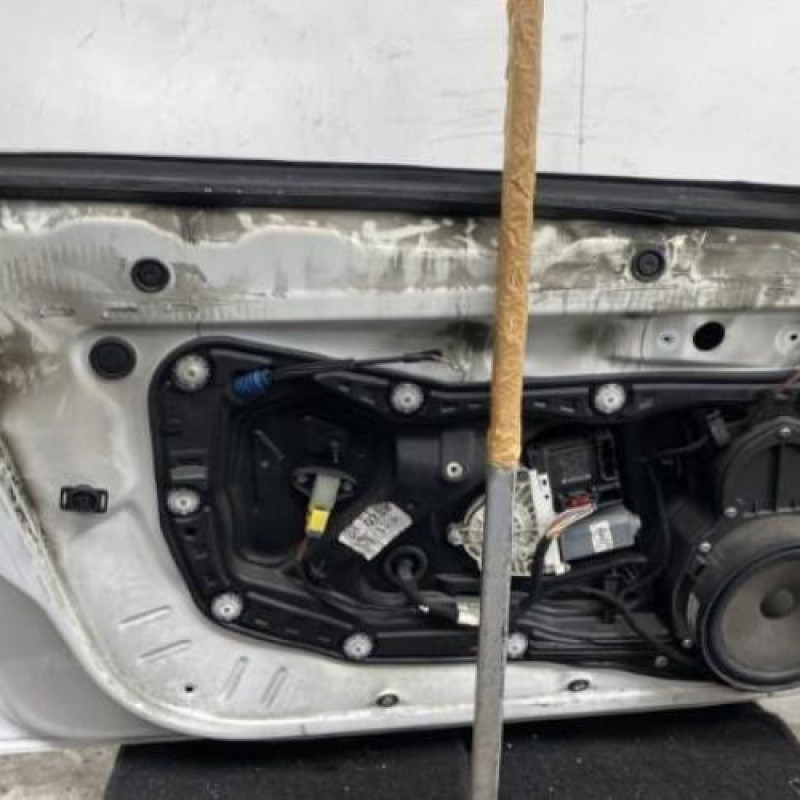 Porte avant gauche VOLKSWAGEN PASSAT 5 Photo n°5