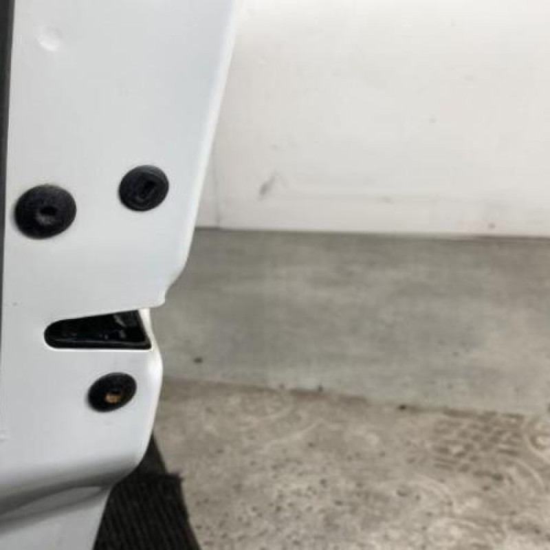 Porte avant gauche VOLKSWAGEN PASSAT 5 Photo n°7