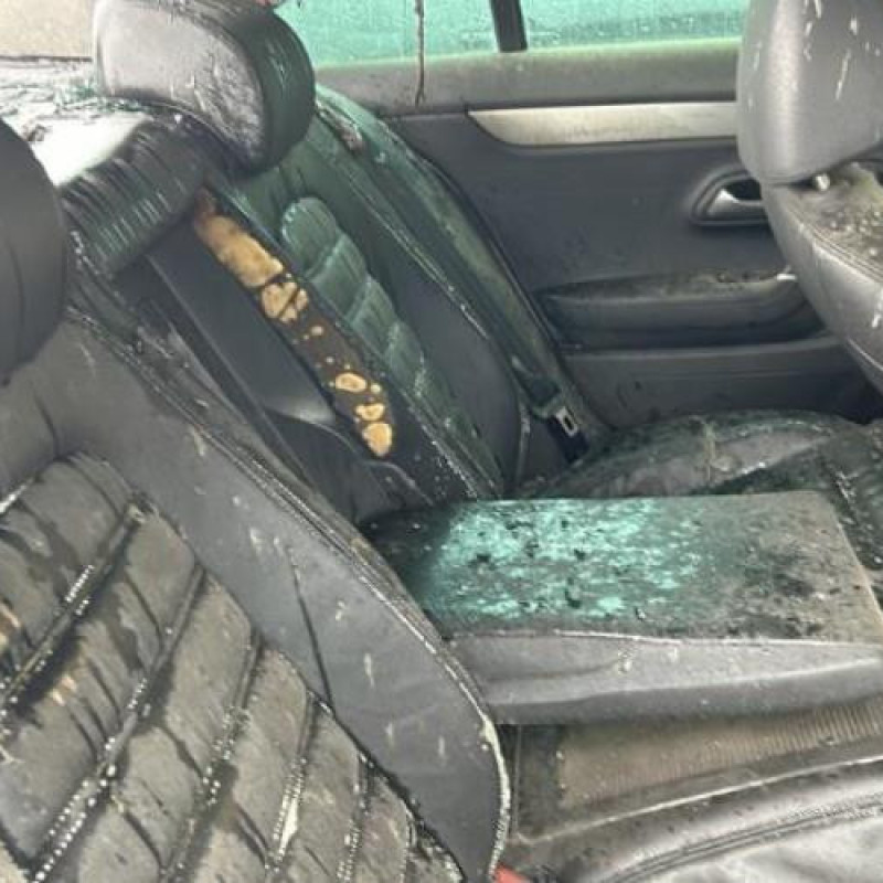 Porte avant gauche VOLKSWAGEN PASSAT 5 Photo n°15