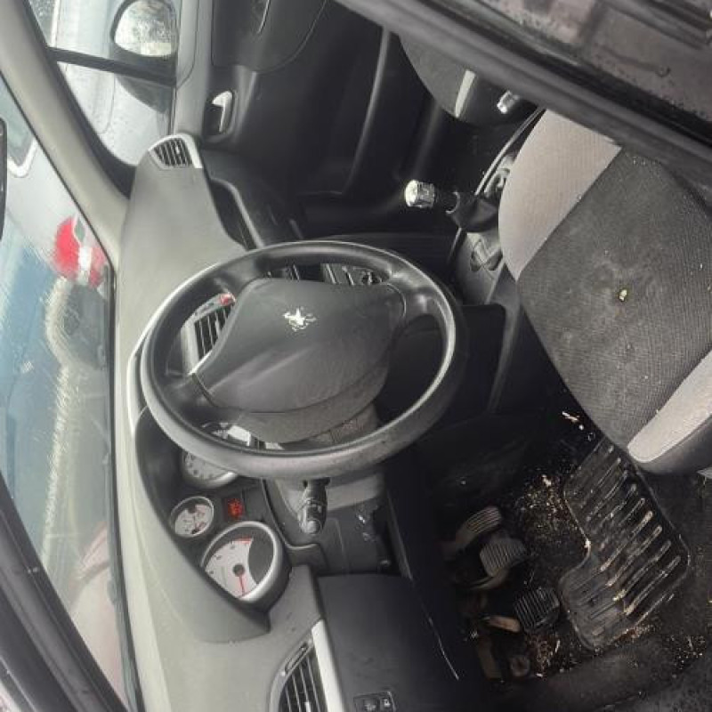 Malle/Hayon arriere PEUGEOT 207 Photo n°13