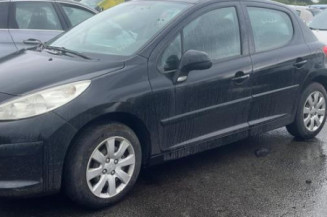 Malle/Hayon arriere PEUGEOT 207