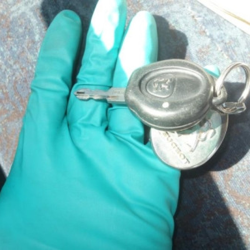 Porte arriere droit PEUGEOT 206 Photo n°3