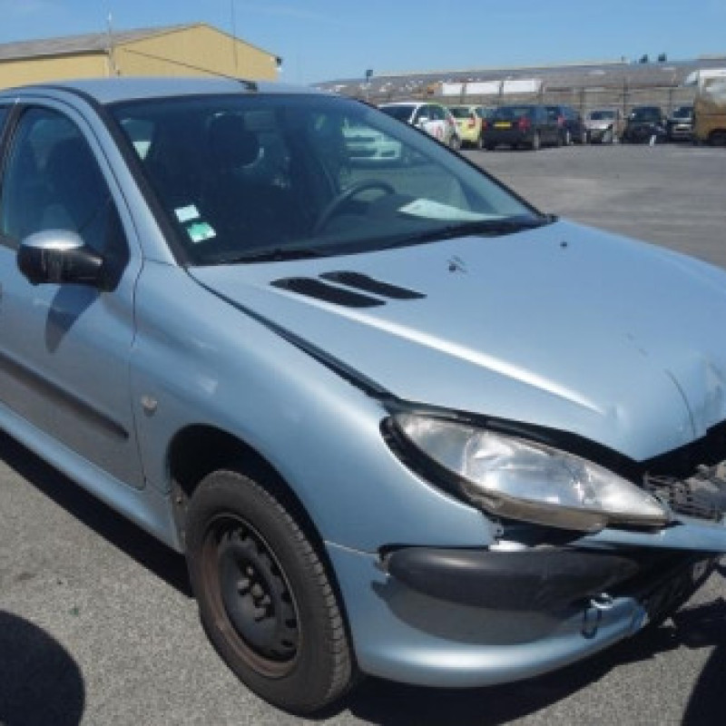 Porte arriere droit PEUGEOT 206 Photo n°4