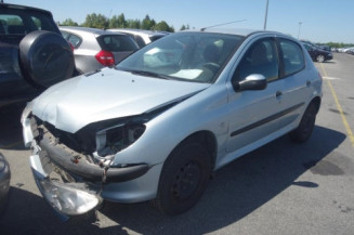 Porte arriere droit PEUGEOT 206