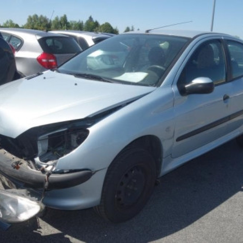 Porte arriere droit PEUGEOT 206 Photo n°5