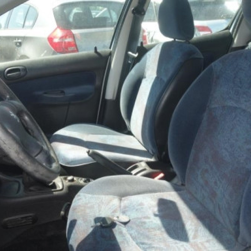 Porte arriere droit PEUGEOT 206 Photo n°6