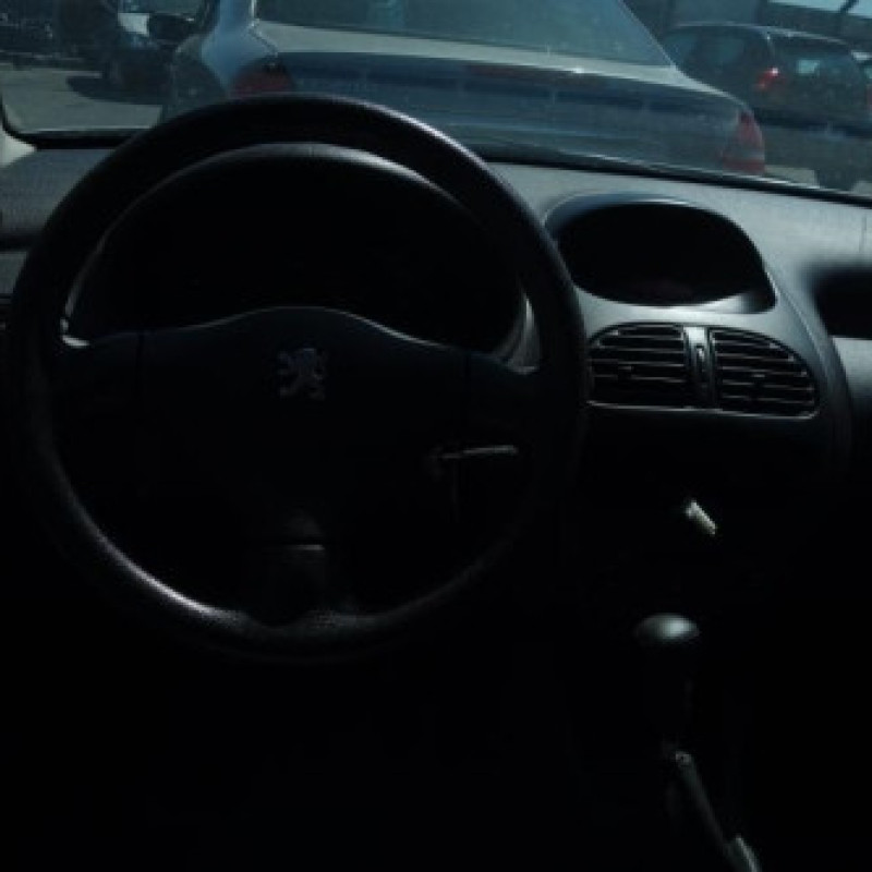 Porte arriere droit PEUGEOT 206 Photo n°7