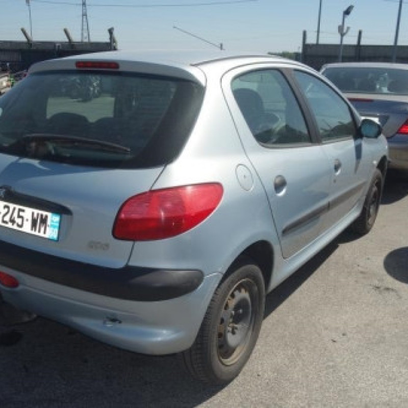 Porte arriere droit PEUGEOT 206 Photo n°8