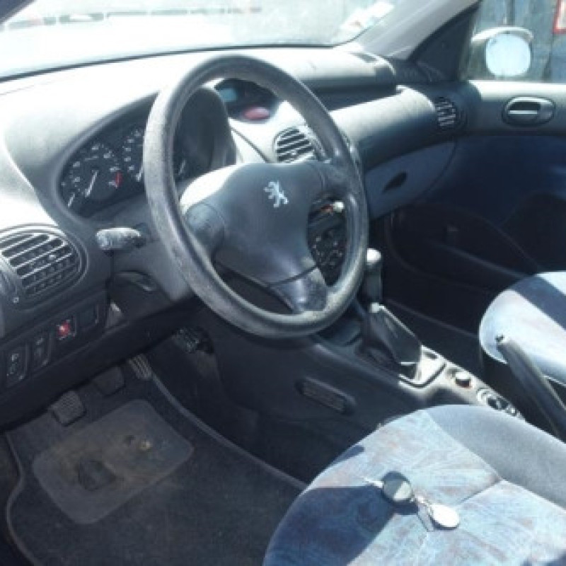 Porte arriere droit PEUGEOT 206 Photo n°12