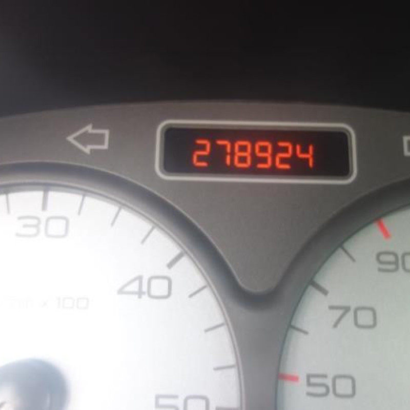 Porte laterale gauche PEUGEOT PARTNER 1 Photo n°6