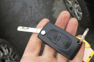 Porte arriere droit CITROEN C3 2