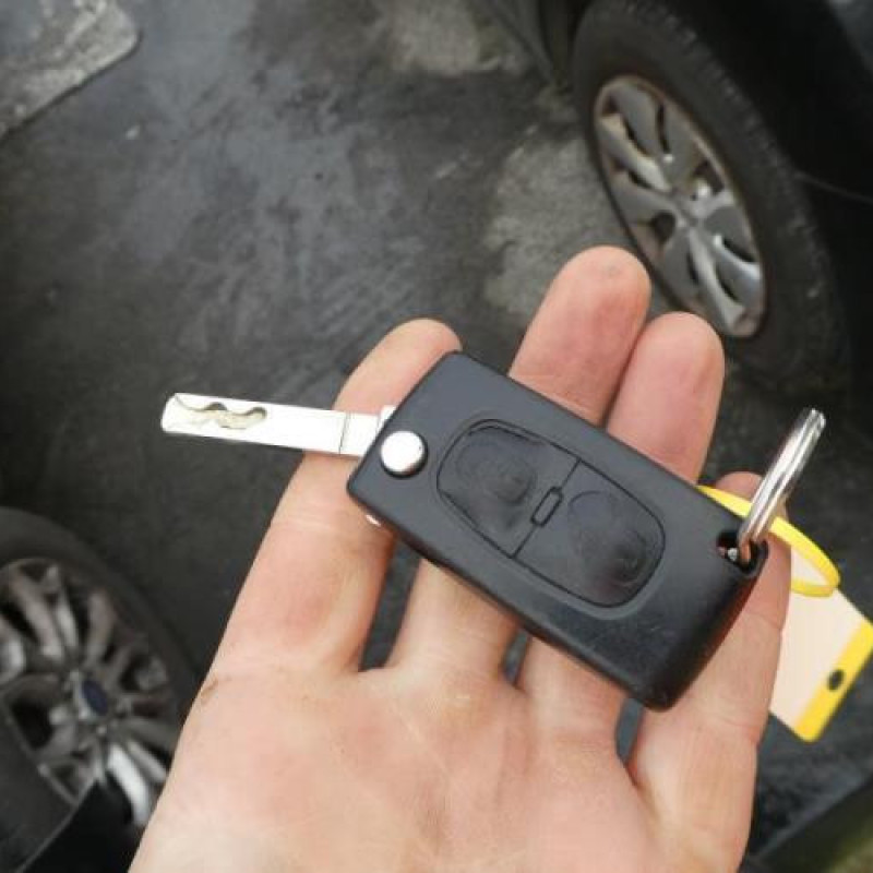 Porte arriere droit CITROEN C3 2 Photo n°10