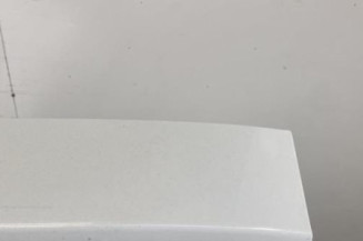 Malle/Hayon arriere RENAULT CLIO 3